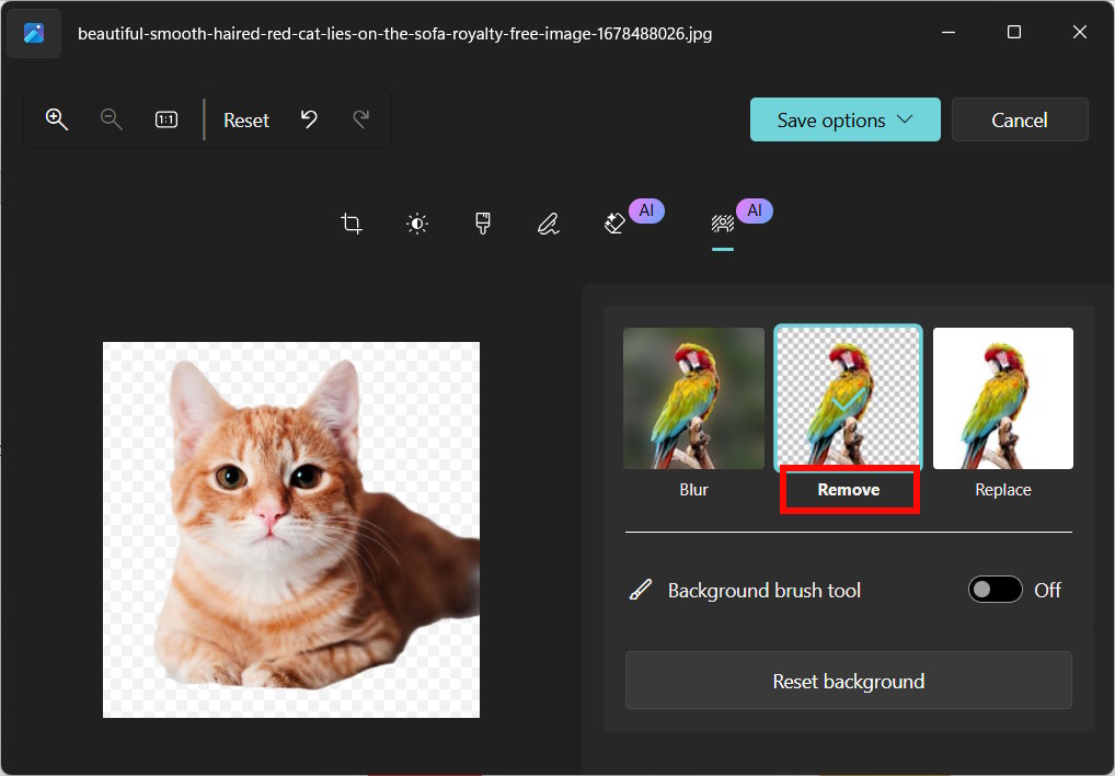 Cách bật và tắt AI Actions trong Windows 11