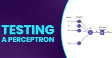 Thử nghiệm Perceptron