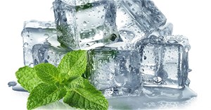 Vì sao bạc hà tạo cảm giác mát lạnh? Các nhà khoa học hé lộ cơ chế ẩn phía sau