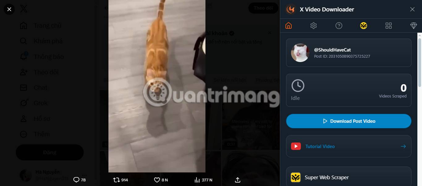Tải video X bằng tiện ích mở rộng Chrome.