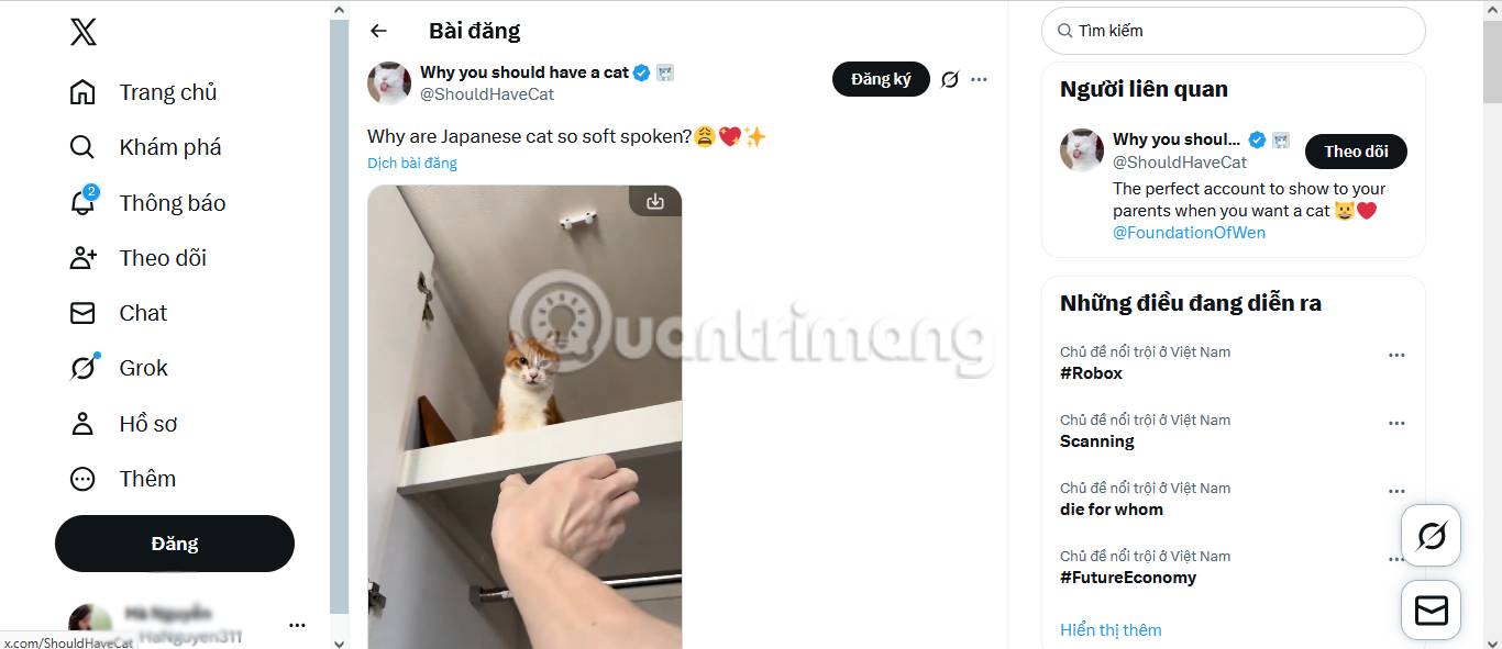 Tải video X bằng tiện ích mở rộng Firefox.