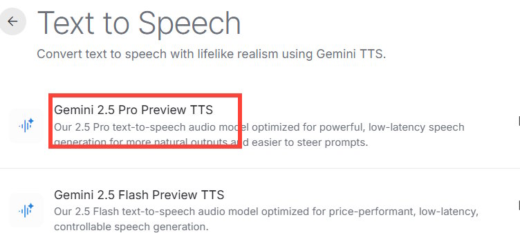 Text to Speech Google AI Studio Gemini 2.5 Pro Preview