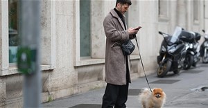 chatbot AI theo dõi khỏe thú cưng lần đầu tiên xuất hiện