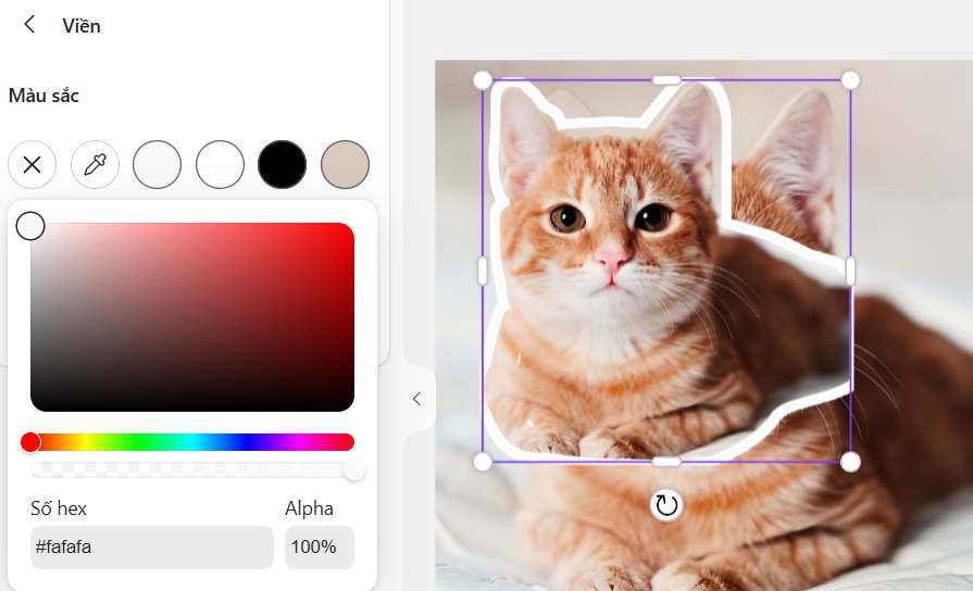 Viền sticker trên Microsoft Designer