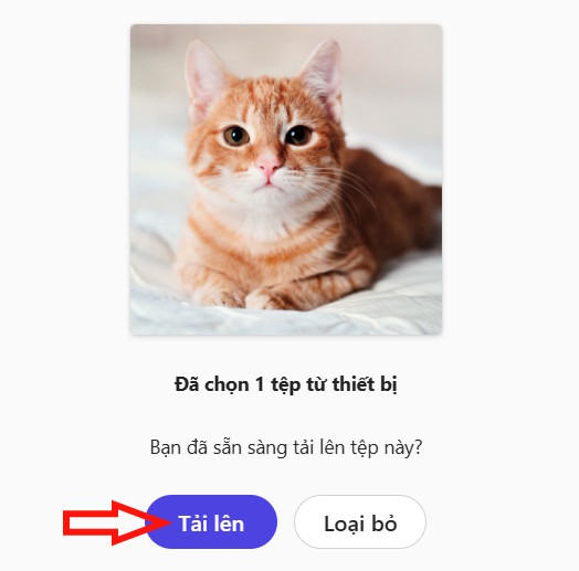 Tải ảnh lên hệ thống Microsoft Designer