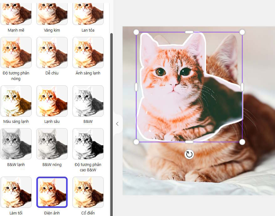 Bộ lọc cho sticker trên Microsoft Designer