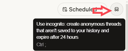 Chế độ ẩn danh trên Perplexity