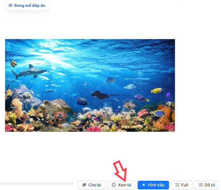 Xem toàn bộ bức tranh