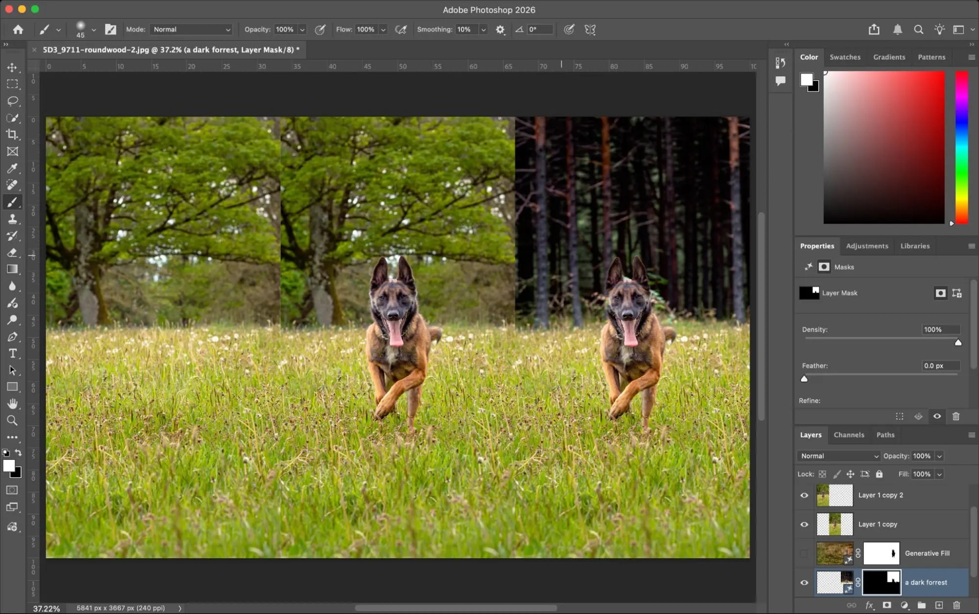 Adobe Firefly, công cụ tốt nhất để tích hợp hình ảnh do AI tạo vào ảnh