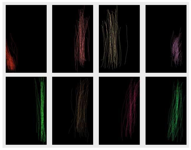 Phân tích các mẫu thói quen vuột màn hình của 8 cá nhân khác nhau