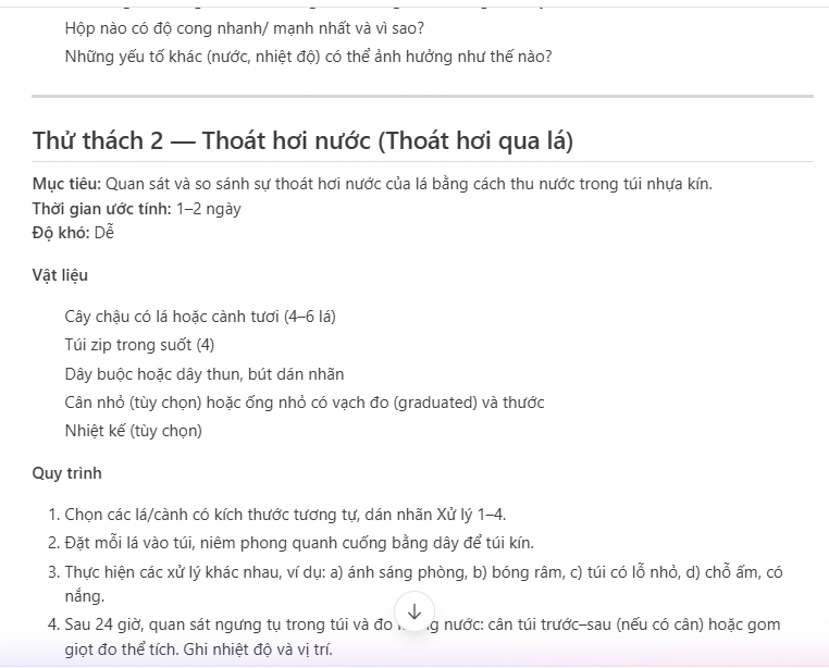 Hoạt động STEM tạo trên Alayna AI