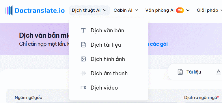 Chọn loại dịch trên Doctranslate.io
