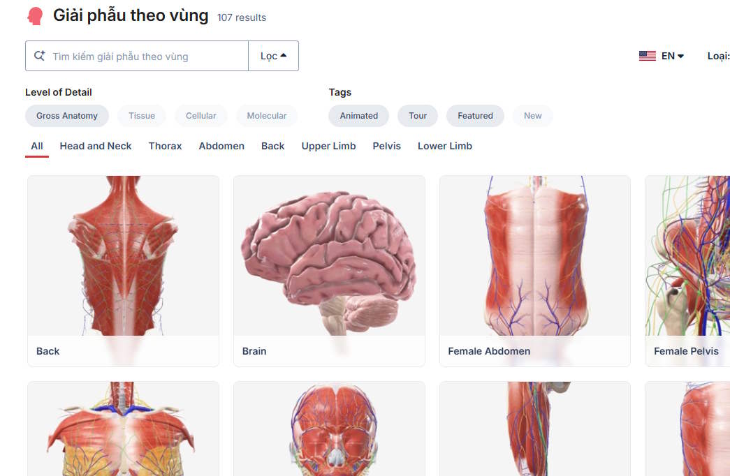 Mô hình trên BioDigital Human