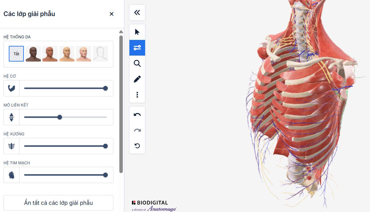 Lớp giải phẫu mô hình 3D trên BioDigital Human
