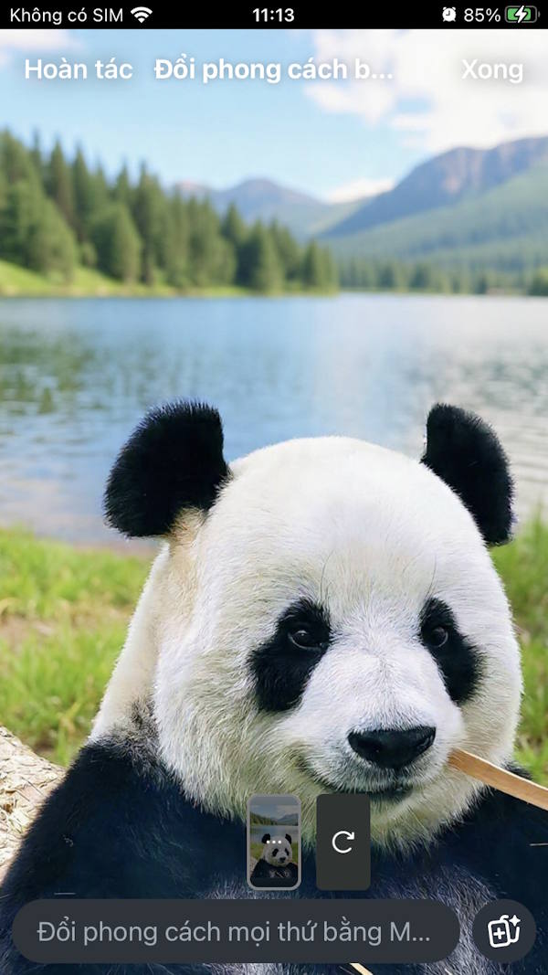 Ảnh được làm mới 