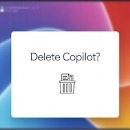 🖼️