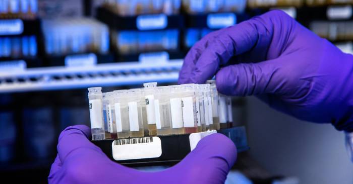 Thay đổi các chi tiết của bộ công cụ test - QuanTriMang.com
