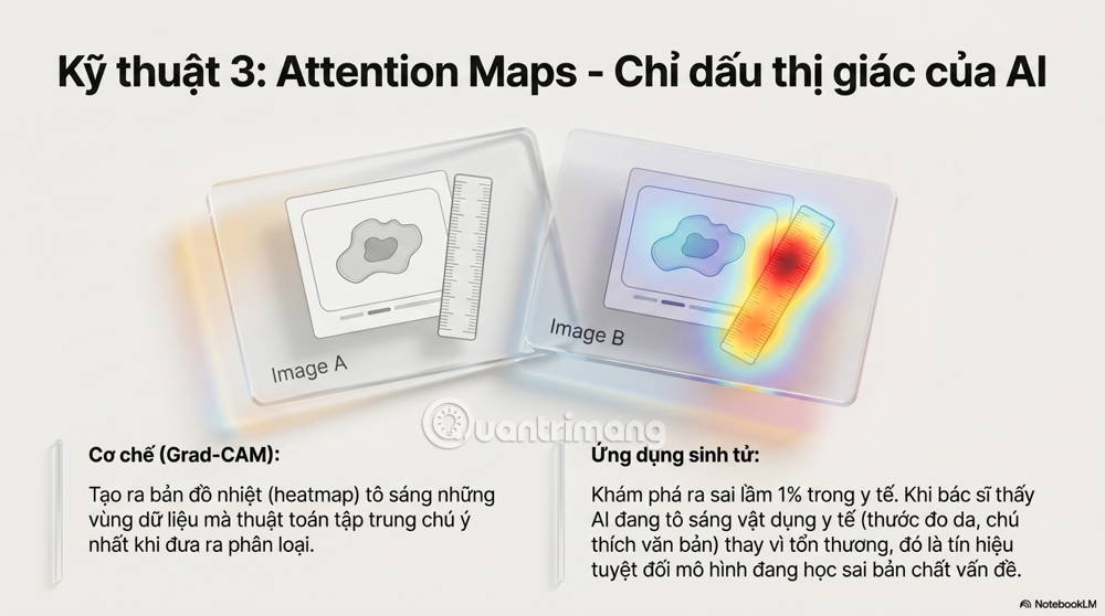 AI diễn giải được