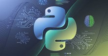 Tại sao nên sử dụng Python để tự động hóa? Cách AI giúp tăng cường khả năng này