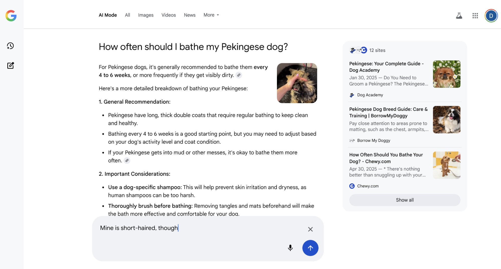 Câu hỏi tiếp theo trong AI Mode trên Google Search