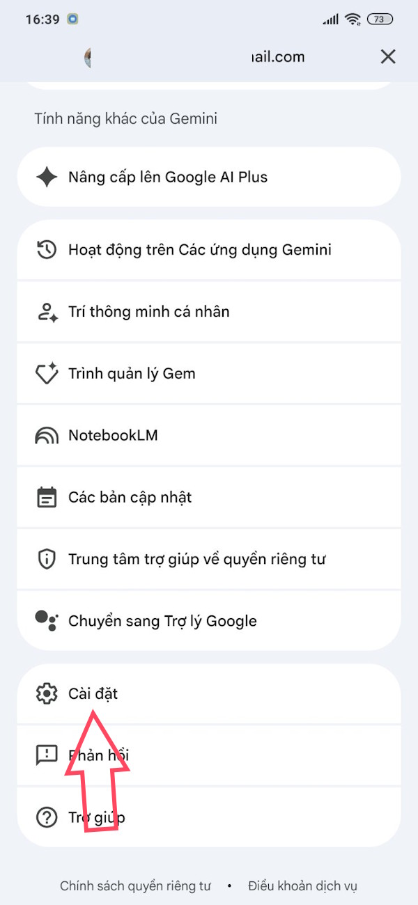 Cài đặt Gemini