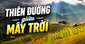 Hướng dẫn tạo ảnh thumbnail trên ChatGPT