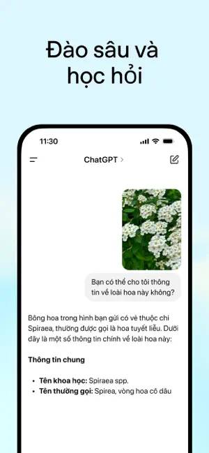ung dung AI cho iPhone 1c*428220