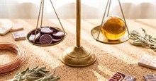 Claude Sonnet 5 hay Opus 4.8: Nên chọn mô hình nào để xây dựng AI Agent?