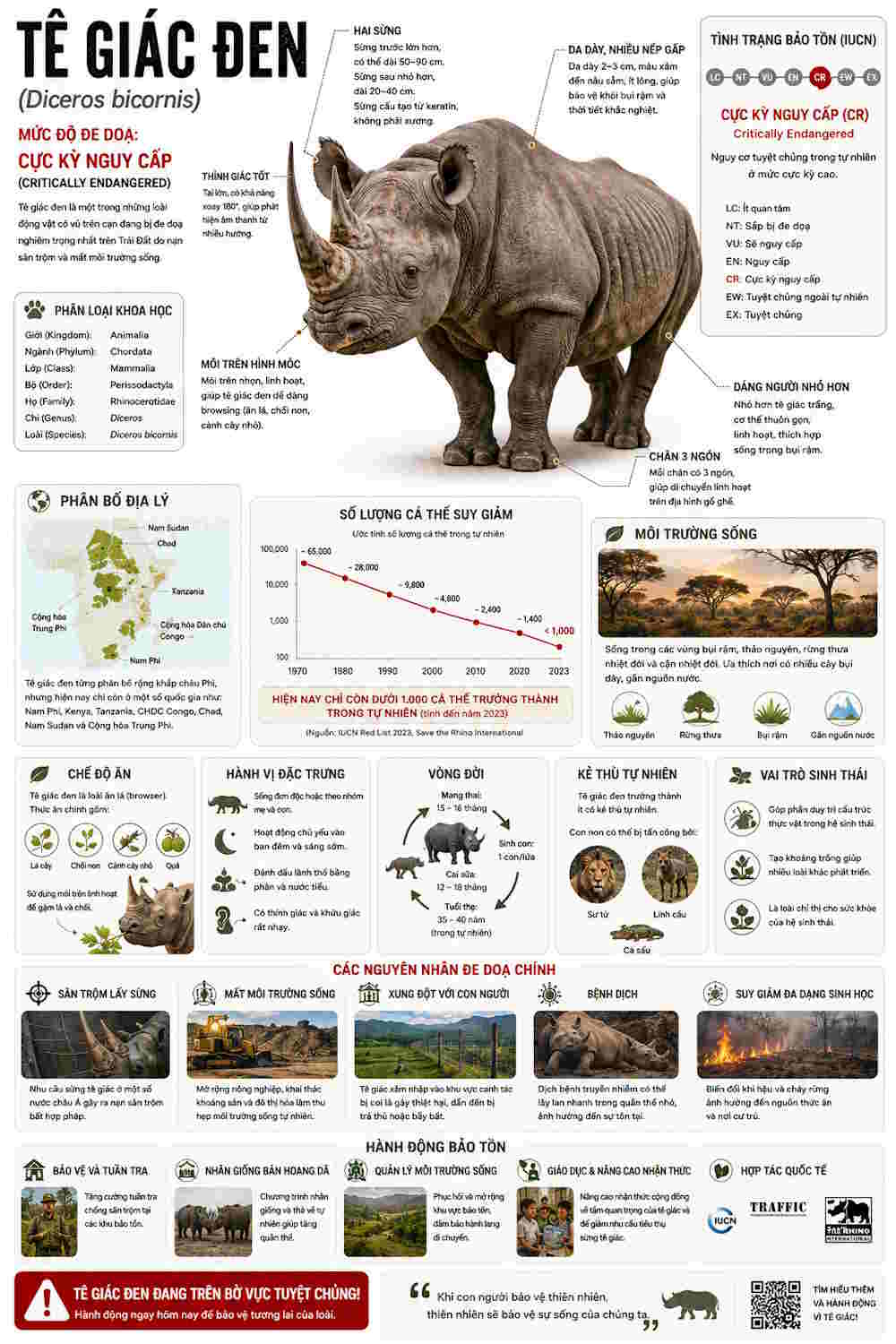 infographic dong vat hoang da 6*431366