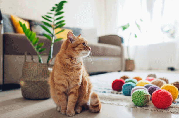 Thay đổi ảnh