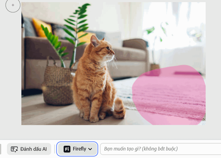 Chọn vị trí thêm chi tiết trên Adobe Photoshop online