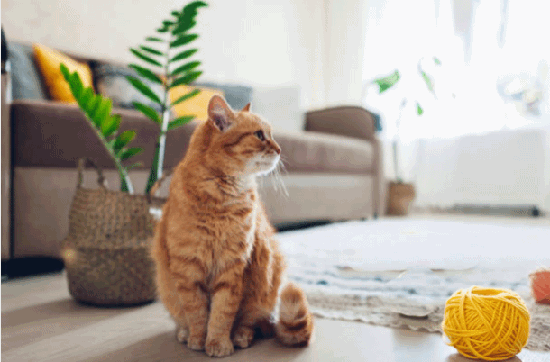 Ảnh đổi màu