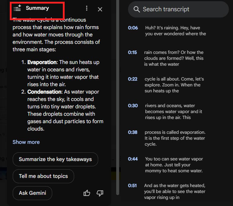 Nội dung Gemini tóm tắt video Google Drive