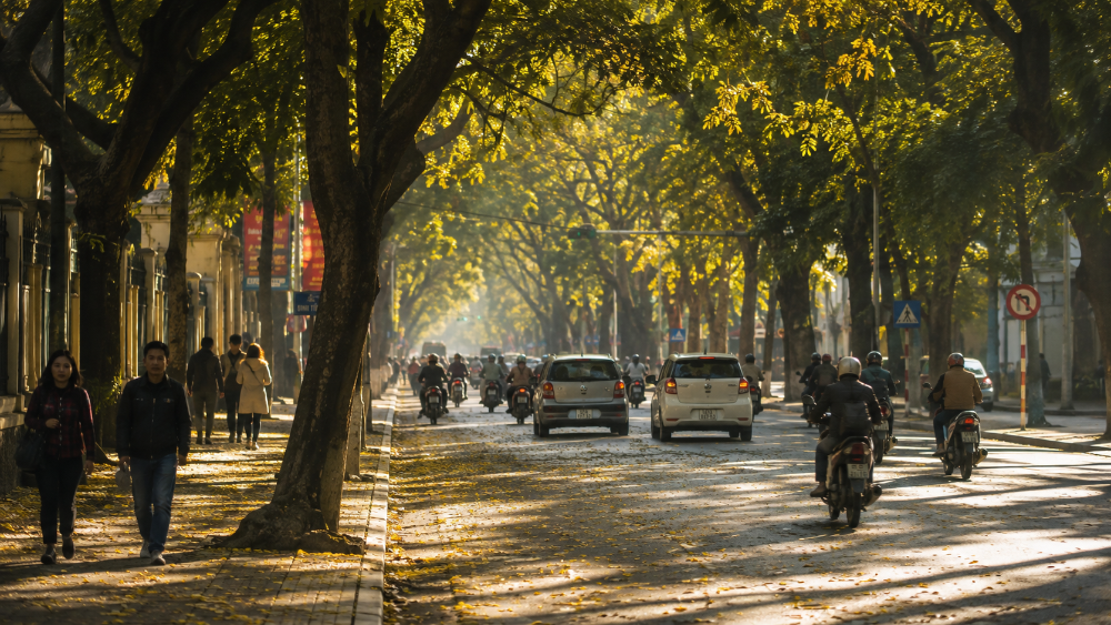 Lời chào tháng 8