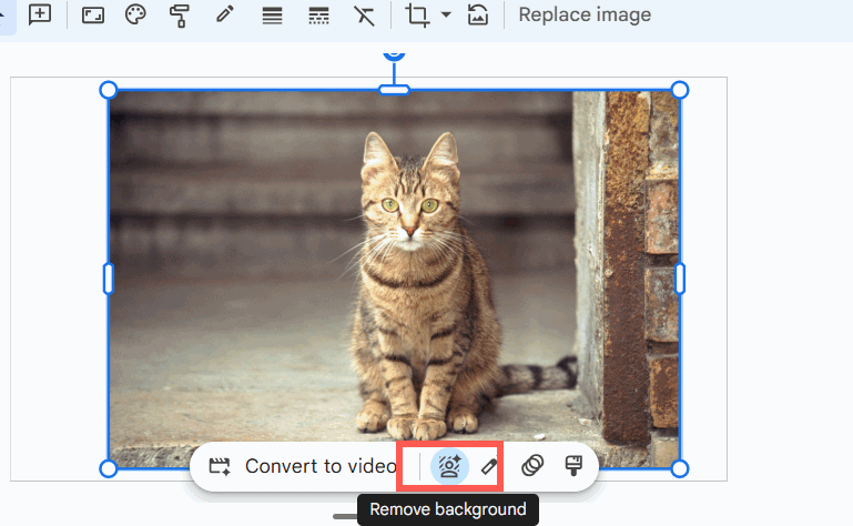 Xóa nền ảnh trên Google Vids