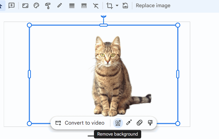 Xóa nền ảnh trên Google Vids AI