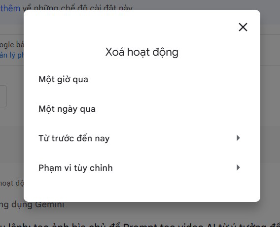 Lựa chọn khoảng thời gian xóa hoạt động trên Gemini