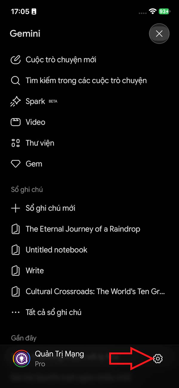 Cài đặt Gemini