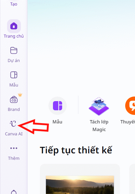 Canva AI