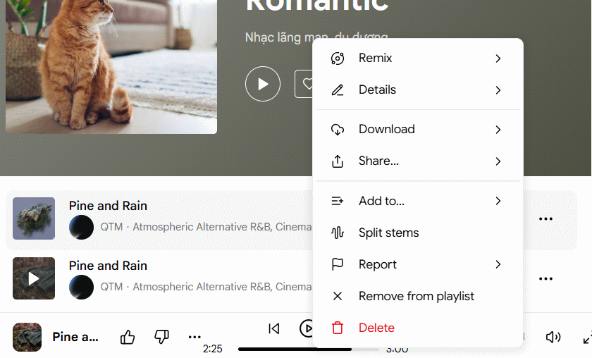 Edit songs in playlist on Google Flow Music