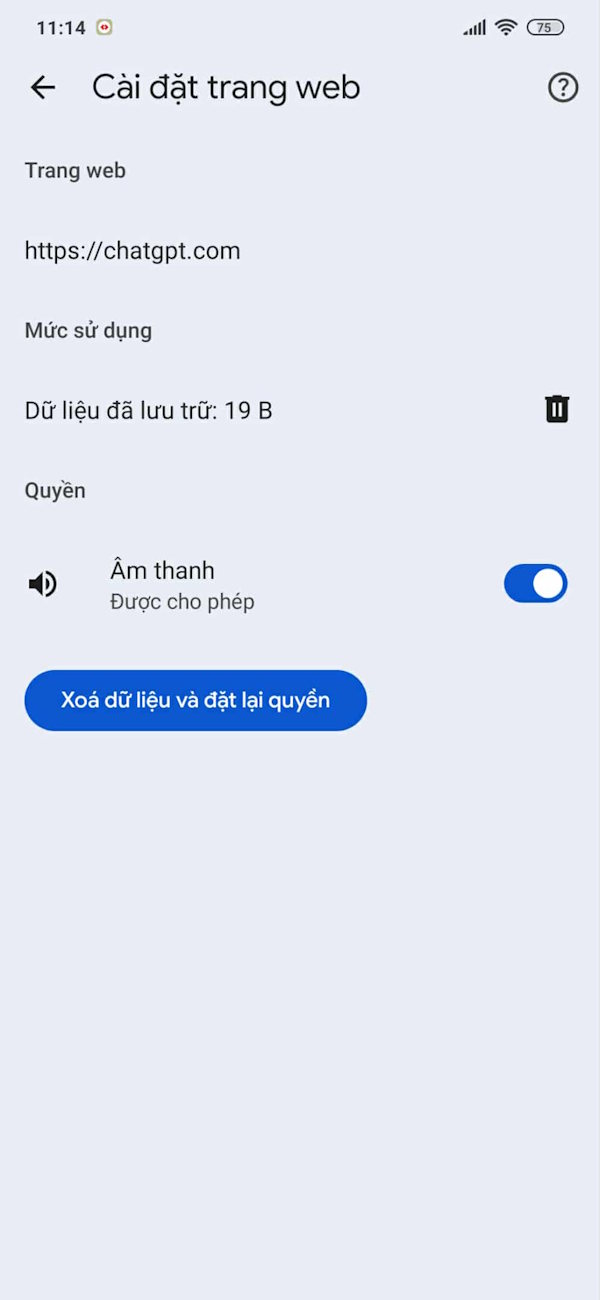 Giao diện cài đặt trang web ChatGPT