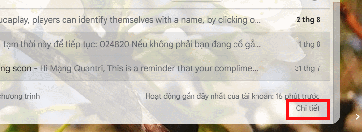 Chi tiết hoạt động trên Gmail