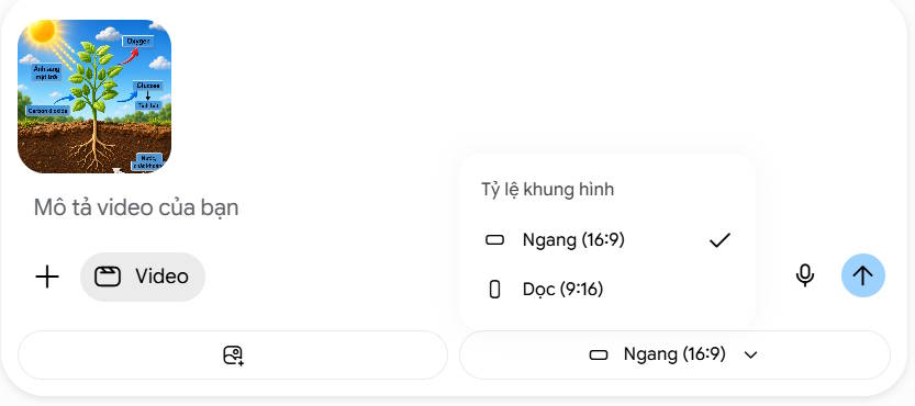 Thiết kế tạo video trên Gemini