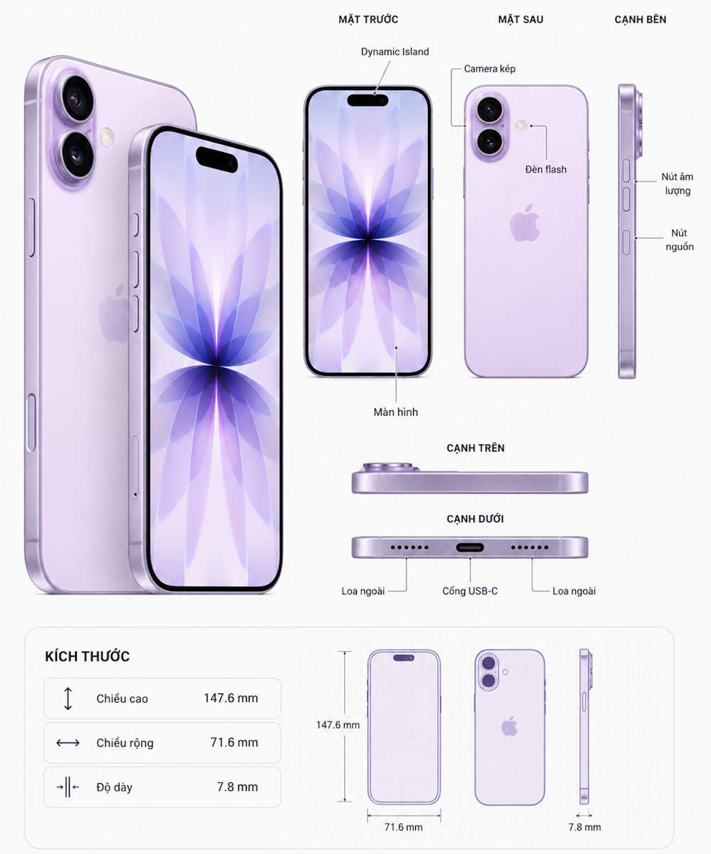 /diagram → Minh họa cấu tạo hoặc thành phần