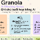 Granola - AI Meeting Notes