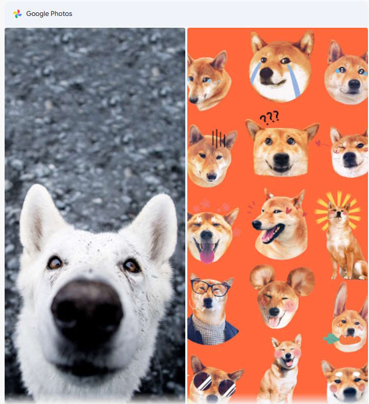 Tìm kiếm hình ảnh trong Google Photos bằng Gemini