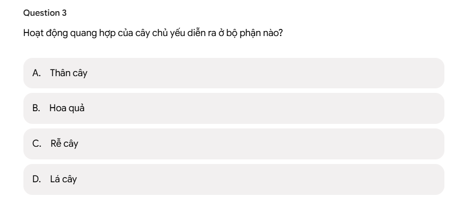 Prompt Tạo bài kiểm tra từ tài liệu học tập