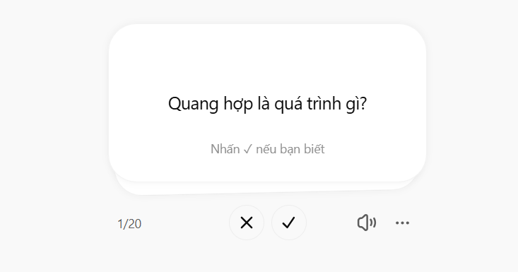 Thẻ flashcard tạo trên ChatGPT