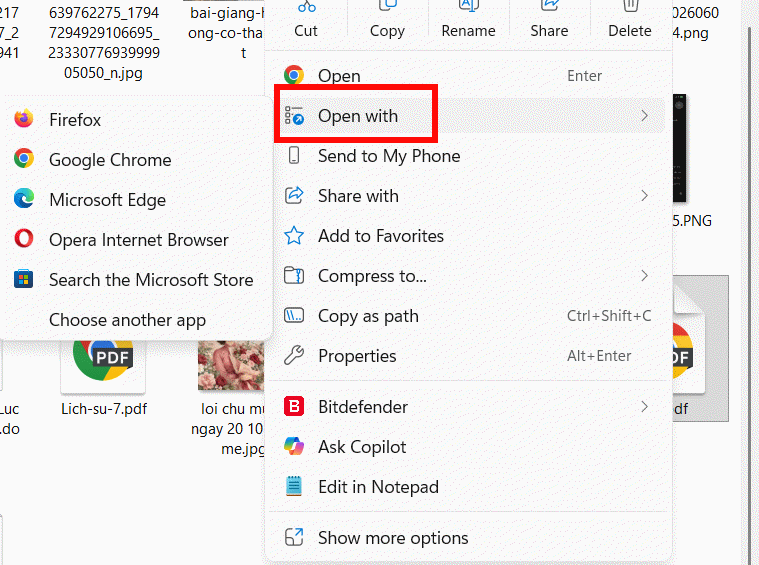 Mở file PDF bằng trình duyệt