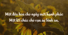 Tool viết lời chúc hay, ý nghĩa cho mọi dịp
